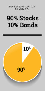 Pie chart showing breakout of stocks and bonds within the aggressive investment option.