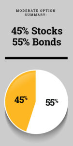 Pie chart showing breakout of 45% stocks and 55% bonds within the moderate investment option.