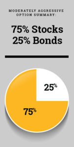 Pie chart of 75% stocks and 25% bonds within the moderately aggressive investment option.